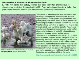 Inaccuracies in Al Gore's An Inconvenient Truth 5.  “The film claims that a study showed that polar bears had drowned due to disappearing arctic ice.  It turned out that Mr. Gore had misread the study: in fact four polar bears drowned and this was because of a particularly violent storm”.  This picture of a mother polar bear and its cub was taken by a photographer and distributed with the caption shown.  It was picked up by the media and portrayed as polar bears about to drown because of the melting ice raft they were on (in  AIT  Gore shows a “heartbreaking” animation of a polar bear desper-ately trying to climb on a crumbling ice raft).  Polar bears are champion long distance swimmers and are often observed at distances of up to 50 miles out to sea swimming between islands and ice sheets. This mother is likely teaching its cub to climb to high spots to search for prey.  While changes in arctic ice potentially pose a problem for migrating bears, polar bears have survived periods in the Earth’s history when it was warmer than today and when there was even less arctic ice than there is today (see the mid-Holocene Optimum link below). All arctic creatures and native peoples have had to continually adapt to fluctuating ice conditions which is the norm. http://hol.sagepub.com/cgi/content/abstract/14/4/607 Mother polar bear and cub on interesting ice sculpture  carved by waves . photo © Amanda Byrd. 