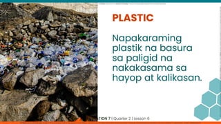 CLIMATE CHANGE values education  grade 7
