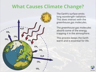 What Causes Climate Change?
The Earth’s surface emits
long wavelength radiation.
This does interact with the
greenhouse gas molecules.
The greenhouse gas molecules
absorb some of the energy,
trapping it in the atmosphere.
This process keeps the Earth
warm and is essential for life.
CO2
CO2
CH4
H2O
CH4
CO2
H2O
CH4
CH4
CO2
 