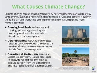 What Causes Climate Change?
Climate change can be caused gradually by natural processes or suddenly by
large events, such as a massive meteorite strike or volcanic activity. However,
the rapid climate change we are experiencing now is due to three main
human activities:
 Burning fossil fuels for heating and
cooking, generating electricity and
powering vehicles releases carbon
dioxide into the atmosphere.
 Deforestation (destruction of forests)
releases carbon dioxide and reduces the
number of trees able to capture carbon
dioxide from the atmosphere.
 Reduction of biodiversity creates an
unstable ecosystem. Nature loss leads
to ecosystems that are less able to
capture carbon from the atmosphere
and less resilient to rising temperatures.
Untitled by © Sam Hobson / WWF-UK licensed under CC BY
Deforestation for future agriculture plantation-Tahuamanu
Province, heading to Centro Poblado de Alerta - Madre de Dios
Region, Peru by © Nicolas Villaume / WWF-US licensed under CC BY
 
