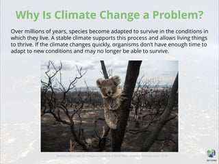 Why Is Climate Change a Problem?
Over millions of years, species become adapted to survive in the conditions in
which they live. A stable climate supports this process and allows living things
to thrive. If the climate changes quickly, organisms don’t have enough time to
adapt to new conditions and may no longer be able to survive.
Bushfire Aftermath On Kangaroo Island by © Brad Fleet / Newspix licensed under CC BY
 