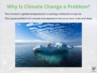 Why Is Climate Change a Problem?
The increase in global temperatures is causing a reduction in sea ice.
This causes problems for animals that depend on the ice to hunt, mate and sleep.
Untitled by © Shutterstock / Ritesh Chaudhary / WWF licensed under CC BY
 
