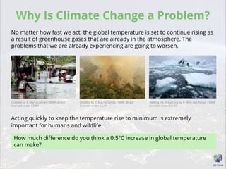 Why Is Climate Change a Problem?
No matter how fast we act, the global temperature is set to continue rising as
a result of greenhouse gases that are already in the atmosphere. The
problems that we are already experiencing are going to worsen.
How much difference do you think a 0.5°C increase in global temperature
can make?
Acting quickly to keep the temperature rise to minimum is extremely
important for humans and wildlife.
Untitled by © Marcio James / WWF–Brazil
licensed under CC BY
Untitled by © Marcio James / WWF–Brazil
licensed under CC BY
Melting ice, Antarctica by © Wim van Passel / WWF
licensed under CC BY
 