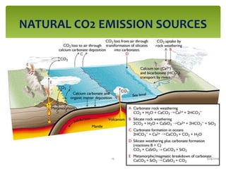 NATURAL CO2 EMISSION SOURCES
3/24/201915
 