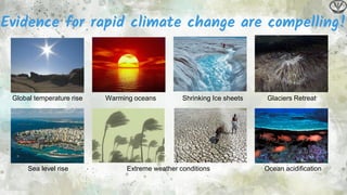 Climate change impact on animal and human health | PDF