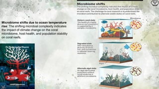 Climate change impact on animal and human health | PDF