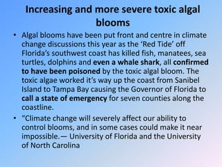 Climate change impact on Hydrology | PPT