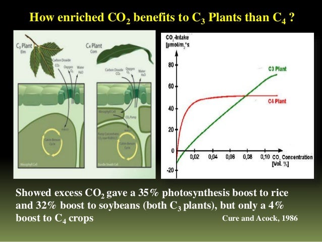 Climate change and its Impact on Insect Pest