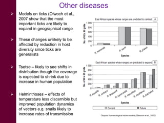 Climate change impacts on animal health and vector borne diseases