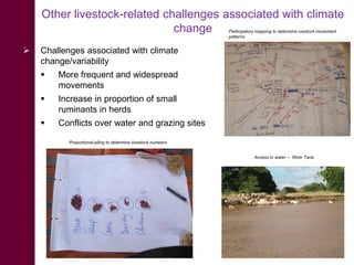 Climate change impacts on animal health and vector borne diseases