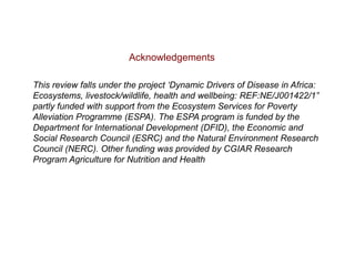 Climate change impacts on animal health and vector borne diseases