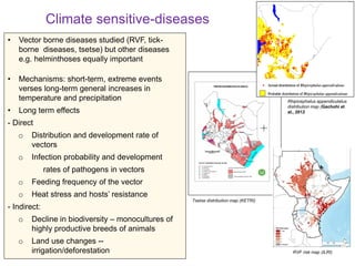 Climate change impacts on animal health and vector borne diseases