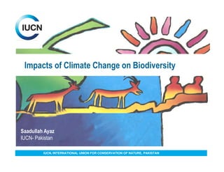 Impacts of Climate Change on Biodiversity




Saadullah Ayaz
IUCN- Pakistan

         IUCN, INTERNATIONAL UNION FOR CONSERVATION OF NATURE, PAKISTAN
 