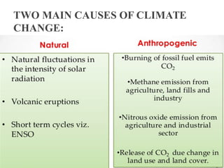 TWO MAIN CAUSES OF CLIMATE
CHANGE:
 