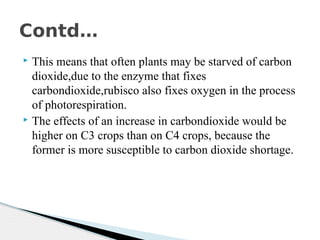  This means that often plants may be starved of carbon
dioxide,due to the enzyme that fixes
carbondioxide,rubisco also fixes oxygen in the process
of photorespiration.
 The effects of an increase in carbondioxide would be
higher on C3 crops than on C4 crops, because the
former is more susceptible to carbon dioxide shortage.
Contd…
 