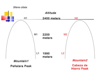L1
M1
H1
Mountain1
Peñalara Peak
1990
meters
2200
meters
2400 meters
L2
M2
H2
Mountain2
Cabeza de
Hierro Peak
Altitude
Sil...
