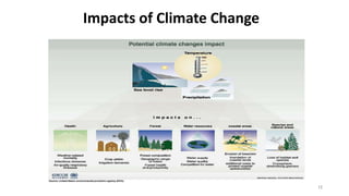 Impacts of Climate Change
12
 