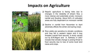 Impacts on Agriculture
17
 Nepal’s agriculture is facing risks due to
changes in the reliability of stream flow, a
more intense and potentially erratic monsoon
rainfall and flooding. About 64% of cultivated
areas are fully dependent on monsoon rainfall.
 Decline in rainfall from November to April
adversely affects the winter and spring crops.
 Rice yields are sensitive to climatic conditions
and may fall in western region and it may
threaten overall food security. A study carried
out by B.R.Regmi and A. Adhikary in 2007
reveals that climate change is posing threat to
food security due to loss of some local land
races and crops.
 