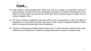 Cont…
18
 Initial National Communication,2004 states that with the increase of temperature beyond 4
degree Celsius, the yield of Terai rice is projected to decrease. The effect of temperature on rice
crops in the hills is little more severe than in the Terai. But in mountain region it is better, but rice
is grown negligibly there.
 The yield of wheat is projected to fall down with the rise in temperature in Terai. The effect of
temperature on wheat yield in the hills is less than in Terai. There is insignificant decline of wheat
yield in mountain environment with rise in temperature.
 The rise in temperature will affect yield of maize crops in Terai more than wheat and rice crops.
It affects less in the hills than in Terai but increases production of maize in mountain areas.
 