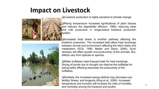 Impact on Livestock
19
Livestock production is highly sensitive to climate change.
Rising temperature increases lignifications of plant tissues
and reduces the digestibility (Minson, 1990), reducing meat
and milk production in range-based livestock production
system.
Increased heat stress is another pathway affecting the
livestock production. The increased heat alters heat exchange
between animal and environment affecting the feed intake and
metabolism (SCA, 1990; Mader and Davis, 2004). Such
stresses will affect growth and productivity of the animals. But,
effects vary from species to species.
Water buffaloes need frequent bath for heat exchange.
Drying of ponds due to drought can deprive the buffaloes for
taking baths affecting adversely the productivity of the
buffaloes.
Similarly, the increased energy deficits may decrease cow
fertility, fitness, and longevity (King et al., 2006). Increased
temperature and humidity will increase the risks of mortality
and morbidity among the livestock and poultry.
 