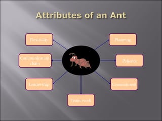 Flexibility                Planning



Communication
                                  Patience
   chain




    Leadership                Commitment



                  Team work
 