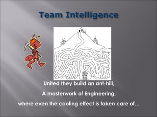 United they build an ant-hill,
         A masterwork of Engineering,
where even the cooling effect is taken care of…
 