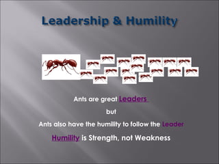 Ants are great Leaders
                      but
Ants also have the humility to follow the Leader

    Humility is Strength, not Weakness
 