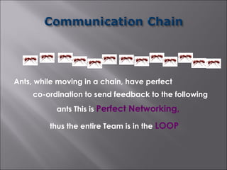Ants, while moving in a chain, have perfect
     co-ordination to send feedback to the following
           ants This is Perfect Networking,

         thus the entire Team is in the LOOP
 
