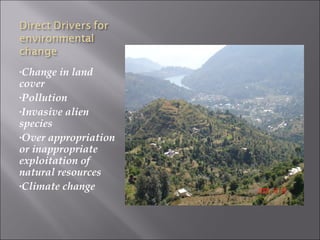 •Change   in land
cover
•Pollution

•Invasive alien
species
•Over appropriation
or inappropriate
exploitation of
natural resources
•Climate change
 