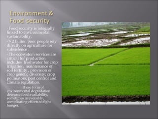 • Food security is integrally
linked to environmental
sustainability.
• > 2 billion poor people rely
directly on agriculture for
subsistence .
• The ecosystem services are
critical for production
includes freshwater for crop
irrigation, maintenance of
soil fertility , provision of
crop genetic diversity; crop
pollinators, pest control and
climate regulation.
          These form of
environmental degradation
decrease food availability,
sometimes irreversibly,
complicating efforts to fight
hunger.
 