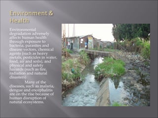 Environmental
degradation adversely
affects human health
through exposure to
bacteria, parasites and
disease vectors, chemical
agents (such as heavy
metals, pesticides in water,
food, air and soils), and
physical and safety
hazards (such as fire,
radiation and natural
disasters)
         Many of the
diseases, such as malaria,
dengue and encephalitis
are on the rise because of
human disruption of
natural ecosystems.
 