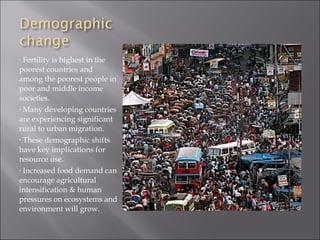 • Fertility is highest in the
poorest countries and
among the poorest people in
poor and middle income
societies.
• Many developing countries

are experiencing significant
rural to urban migration.
• These demographic shifts

have key implications for
resource use.
• Increased food demand can

encourage agricultural
intensification & human
pressures on ecosystems and
environment will grow.
 