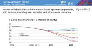 SIXTH ASSESSMENT REPORT
WorkingGroupI –ThePhysical ScienceBasis
Figure SPM.8
Human activities affect all the major climate system components,
with some responding over decades and others over centuries
 