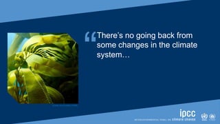 “
There’s no going back from
some changes in the climate
system…
[Credit: Jenn Caselle | UCSB]
 