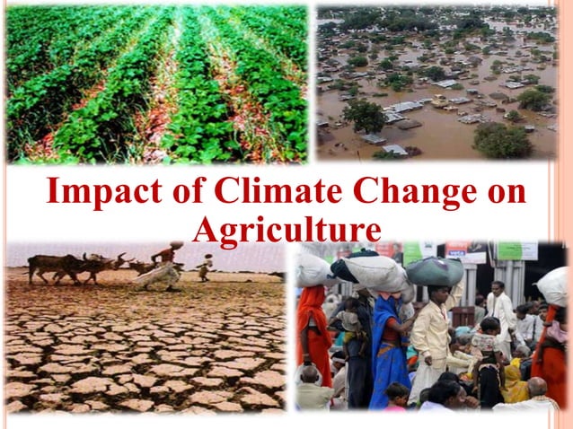 Impact of Climate Change on Agriculture | PPT