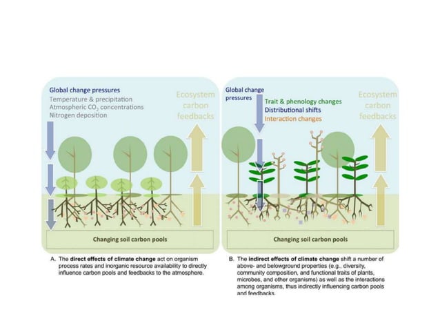 Climate change on plant process