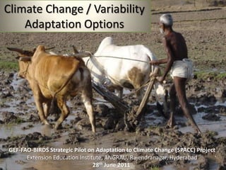 Climate Change / Variability Adaptation Options  GEF-FAO-BIRDS Strategic Pilot on Adaptation to Climate Change (SPACC) Project Extension Education Institute, ANGRAU, Rajendranagar, Hyderabad 28th June 2011  