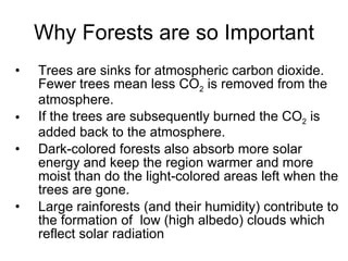 Why Forests are so Important Trees are sinks for atmospheric carbon dioxide.  Fewer trees mean less CO 2  is removed from the atmosphere.  If the trees are subsequently burned the CO 2  is added back to the atmosphere.  Dark-colored forests also absorb more solar energy and keep the region warmer and more moist than do the light-colored areas left when the trees are gone. Large rainforests (and their humidity) contribute to the formation of  low (high albedo) clouds which reflect solar radiation 
