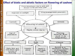 Climate Resilient Horticultural Crops of Future | PDF
