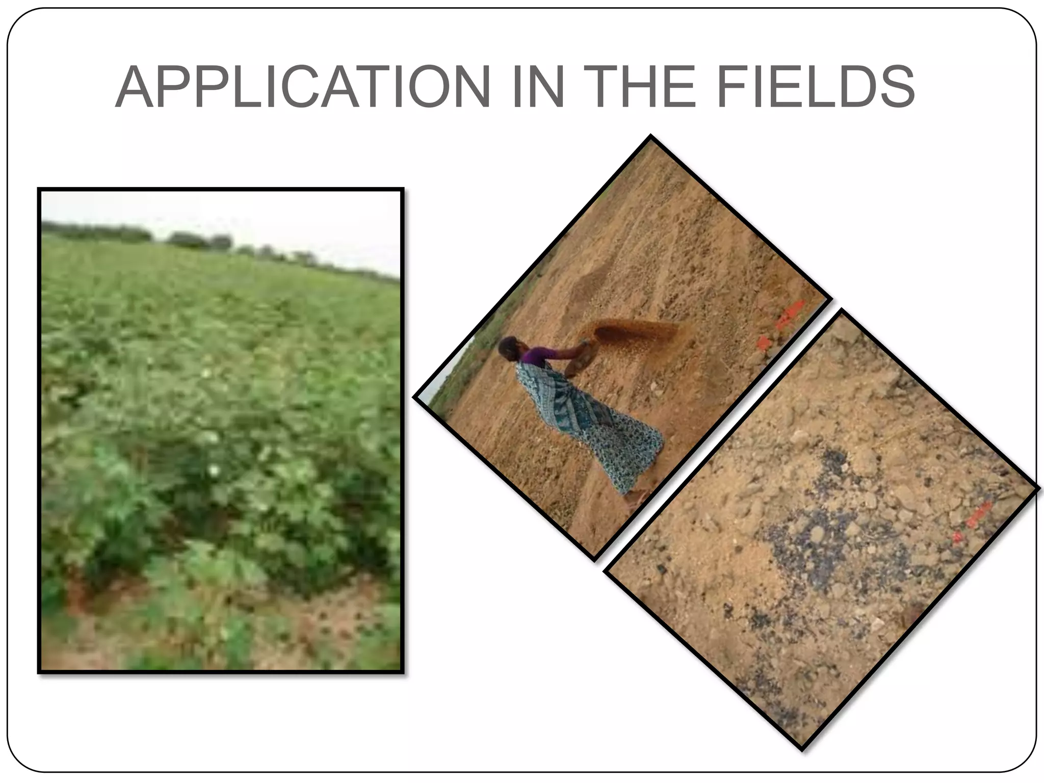 APPLICATION IN THE FIELDS