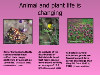 Animal and plant life is changing 2/3 of European butterfly species studied have shifted their ranges northward by as much...