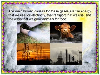 The main human causes for these gases are the energy
that we use for electricity, the transport that we use, and
the ways that we grow animals for food.
 
