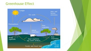 Greenhouse Effect
 