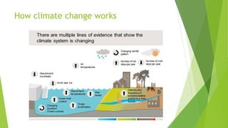 How climate change works
 