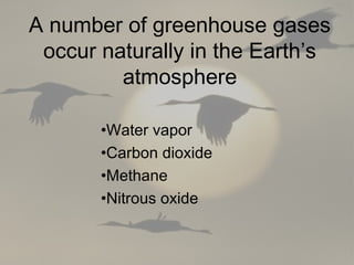•Water vapor
•Carbon dioxide
•Methane
•Nitrous oxide
A number of greenhouse gases
occur naturally in the Earth’s
atmosphere
 