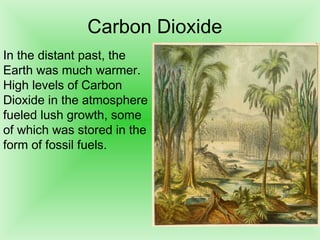 Carbon Dioxide 
In the distant past, the
Earth was much warmer.
High levels of Carbon
Dioxide in the atmosphere
fueled lush growth, some
of which was stored in the
form of fossil fuels.
 