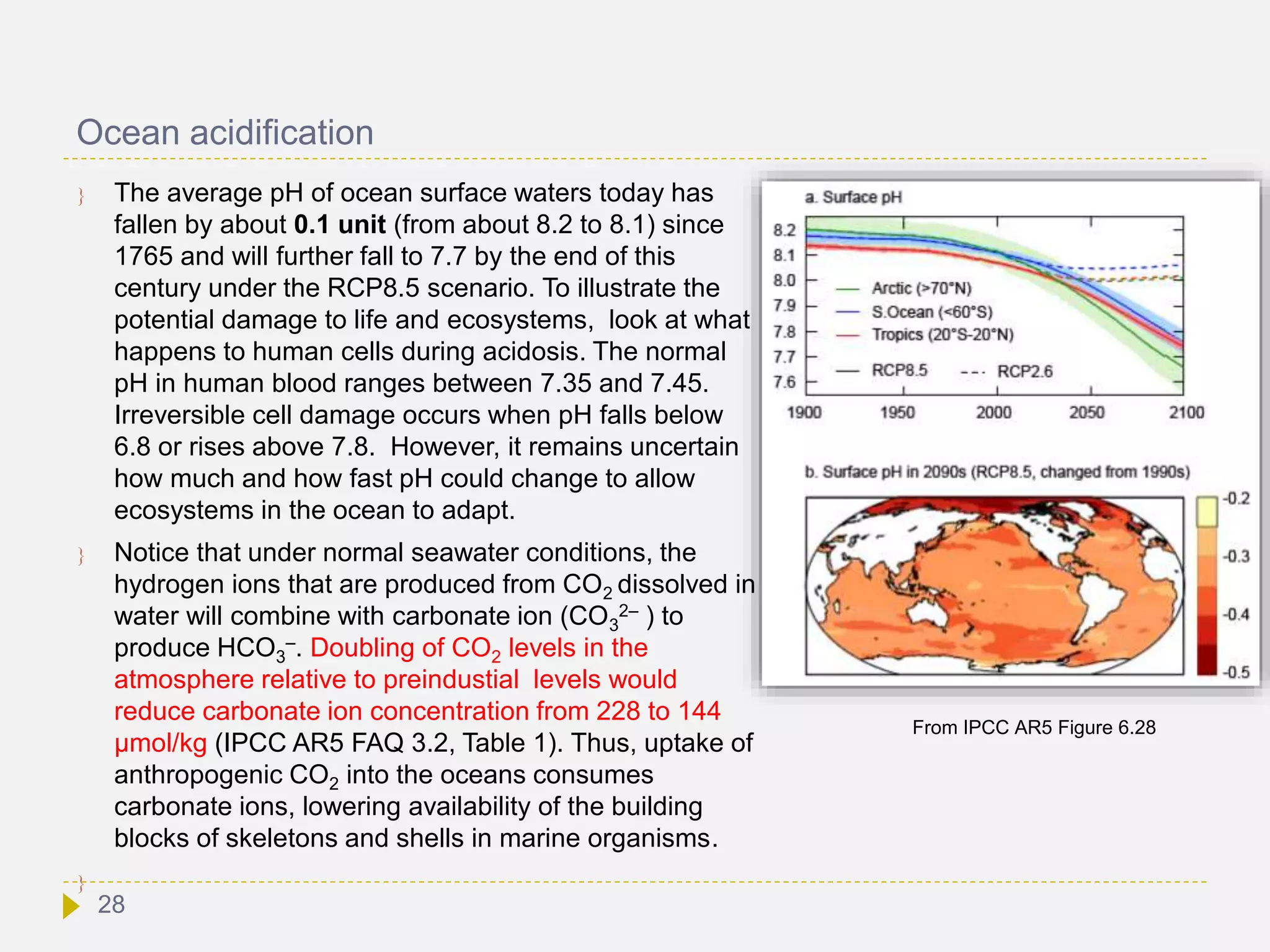 Ocean acidification
 The average pH of ocean surface waters today has
fallen by about 0.1 unit (from about 8.2 to 8.1) since
1765 and will further fall to 7.7 by the end of this
century under the RCP8.5 scenario. To illustrate the
potential damage to life and ecosystems, look at what
happens to human cells during acidosis. The normal
pH in human blood ranges between 7.35 and 7.45.
Irreversible cell damage occurs when pH falls below
6.8 or rises above 7.8. However, it remains uncertain
how much and how fast pH could change to allow
ecosystems in the ocean to adapt.
 Notice that under normal seawater conditions, the
hydrogen ions that are produced from CO2 dissolved in
water will combine with carbonate ion (CO3
2– ) to
produce HCO3
–. Doubling of CO2 levels in the
atmosphere relative to preindustial levels would
reduce carbonate ion concentration from 228 to 144
µmol/kg (IPCC AR5 FAQ 3.2, Table 1). Thus, uptake of
anthropogenic CO2 into the oceans consumes
carbonate ions, lowering availability of the building
blocks of skeletons and shells in marine organisms.

From IPCC AR5 Figure 6.28
28
 
