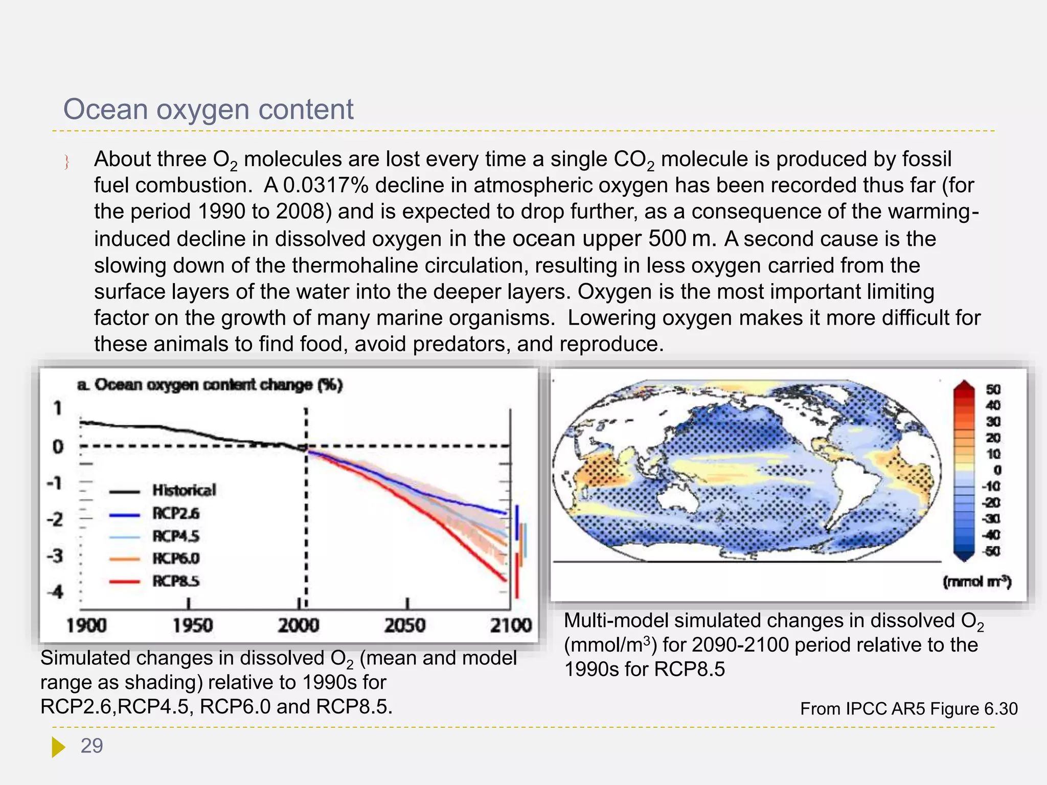 Ocean oxygen content
 About three O2 molecules are lost every time a single CO2 molecule is produced by fossil
fuel combustion. A 0.0317% decline in atmospheric oxygen has been recorded thus far (for
the period 1990 to 2008) and is expected to drop further, as a consequence of the warming-
induced decline in dissolved oxygen in the ocean upper 500 m. A second cause is the
slowing down of the thermohaline circulation, resulting in less oxygen carried from the
surface layers of the water into the deeper layers. Oxygen is the most important limiting
factor on the growth of many marine organisms. Lowering oxygen makes it more difficult for
these animals to find food, avoid predators, and reproduce.
From IPCC AR5 Figure 6.30
Simulated changes in dissolved O2 (mean and model
range as shading) relative to 1990s for
RCP2.6,RCP4.5, RCP6.0 and RCP8.5.
Multi-model simulated changes in dissolved O2
(mmol/m3) for 2090-2100 period relative to the
1990s for RCP8.5
29
 
