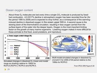 Ocean oxygen content
 About three O2 molecules are lost every time a single CO2 molecule is produced by fossil
fuel combustion. A 0.0317% decline in atmospheric oxygen has been recorded thus far (for
the period 1990 to 2008) and is expected to drop further, as a consequence of the warming-
induced decline in dissolved oxygen in the ocean upper 500 m. A second cause is the
slowing down of the thermohaline circulation, resulting in less oxygen carried from the
surface layers of the water into the deeper layers. Oxygen is the most important limiting
factor on the growth of many marine organisms. Lowering oxygen makes it more difficult for
these animals to find food, avoid predators, and reproduce.
From IPCC AR5 Figure 6.30
Simulated changes in dissolved O2 (mean and model
range as shading) relative to 1990s for
RCP2.6,RCP4.5, RCP6.0 and RCP8.5.
Multi-model simulated changes in dissolved O2
(mmol/m3) for 2090-2100 period relative to the
1990s for RCP8.5
29
 