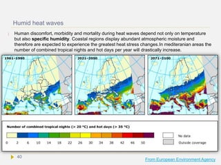 Humid heat waves
 Human discomfort, morbidity and mortality during heat waves depend not only on temperature
but also specific humidity. Coastal regions display abundant atmospheric moisture and
therefore are expected to experience the greatest heat stress changes.In mediteranian areas the
number of combined tropical nights and hot days per year will drastically increase.
From European Environment Agency
40
 